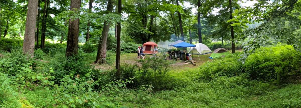National Forest Camping Near Me