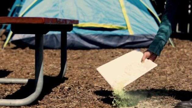 Natural Ways to Keep Bugs Away While Camping â Travel Channel