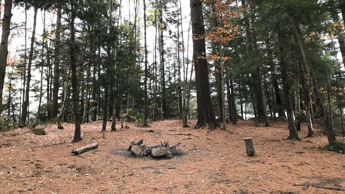 New York State Parks campgrounds open for reservations starting Monday ...