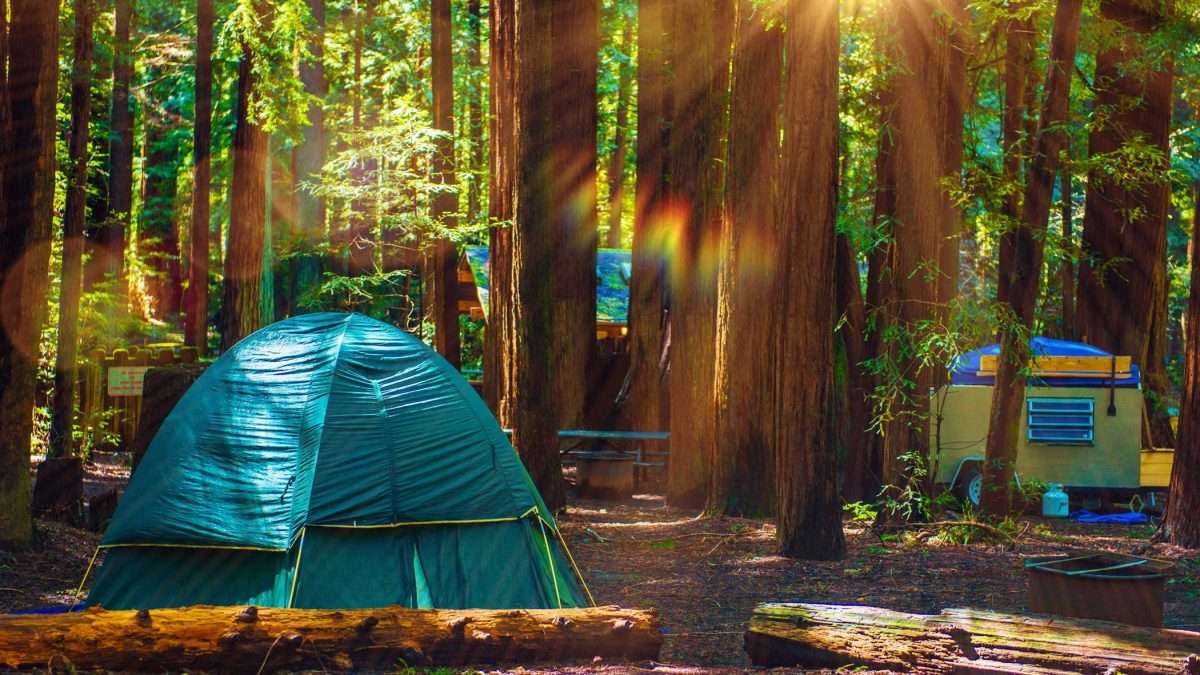 No Reservation: The Best Last Minute Camping in Northern California
