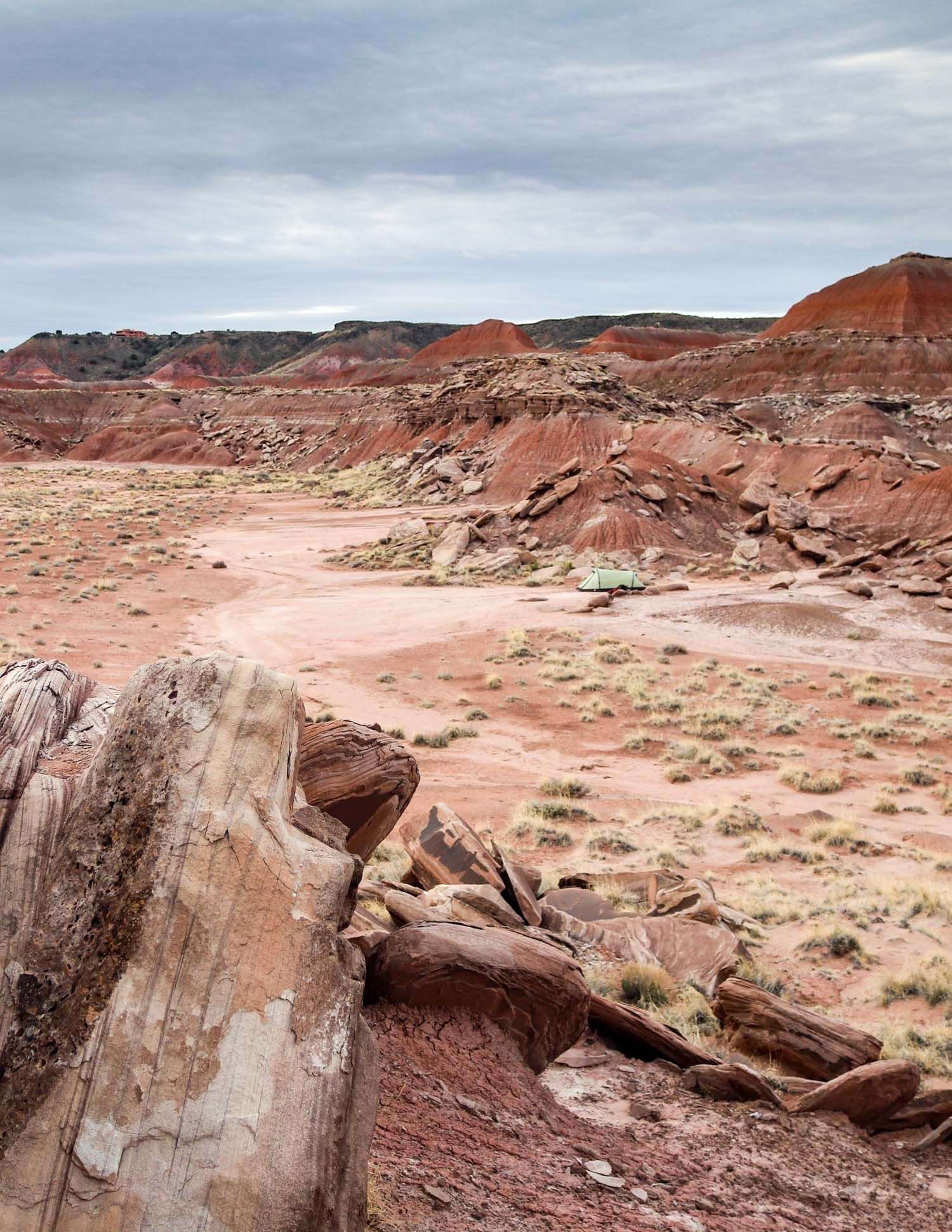 Painted Desert Camping Guide: Camping in Petrified Forest ...