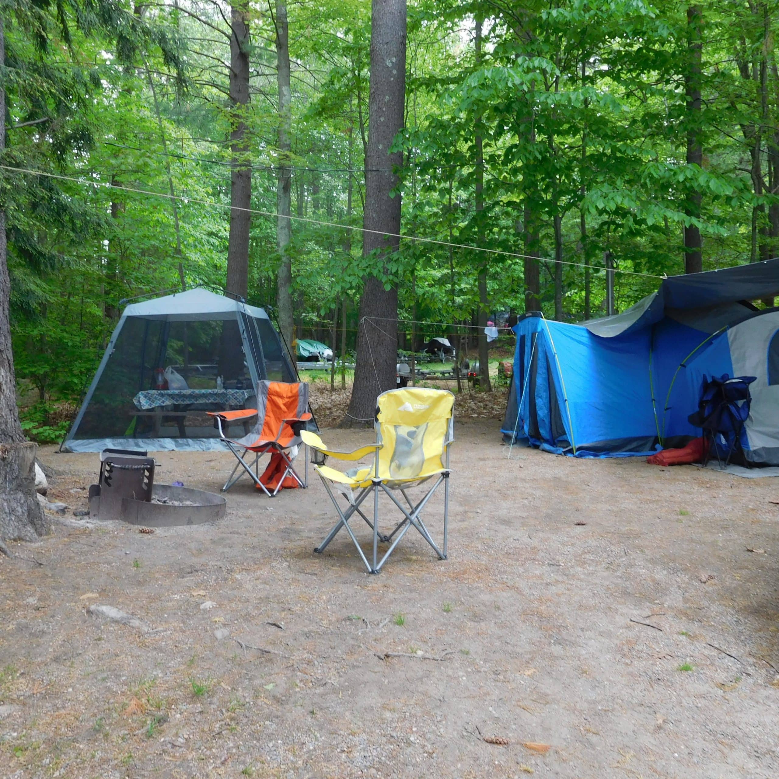 Paugus Bay Campground, NH