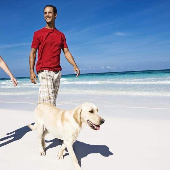 Pet Friendly Beaches Near Naples, Florida