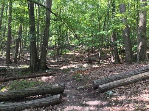 Photos of Bear Mountain State Park Camping Trails