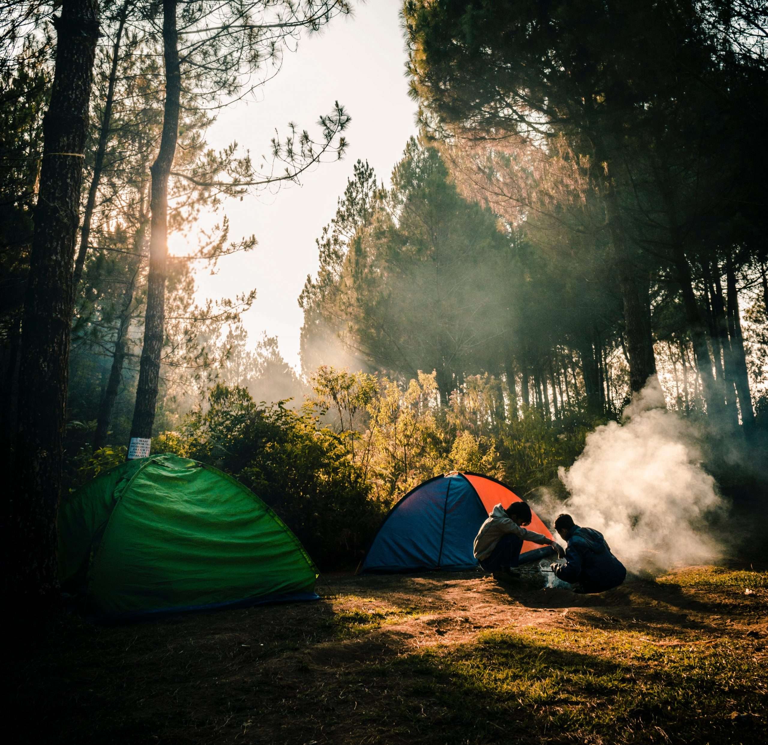 Pitch a Tent at These 18 Bay Area Camping Spots