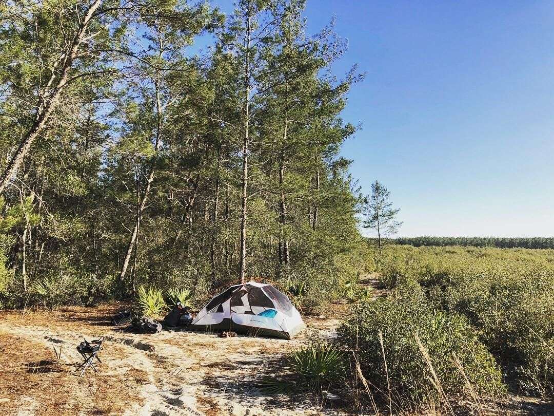 Primitive dispersed camping in Ocala National Forest ...