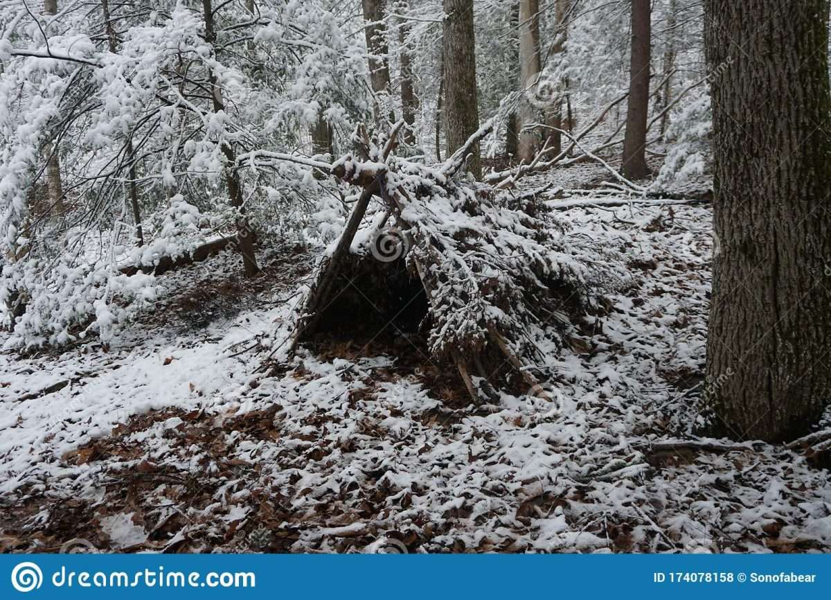 Primitive Winter A Frame Survival Shelter In The Blue Ridge Mountains ...