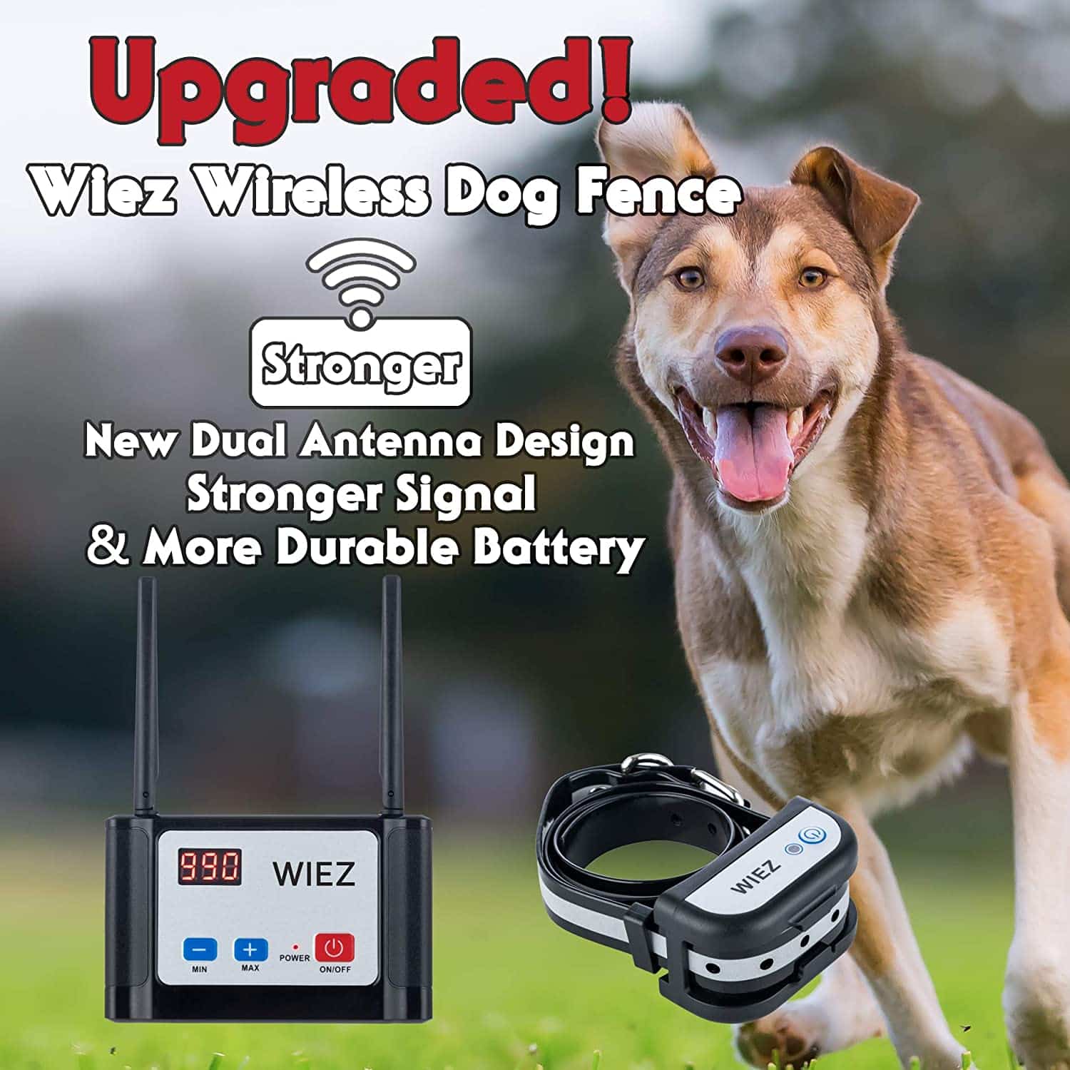 Reviews WIEZ Electric Wireless Dog Fence, Dual Antenna