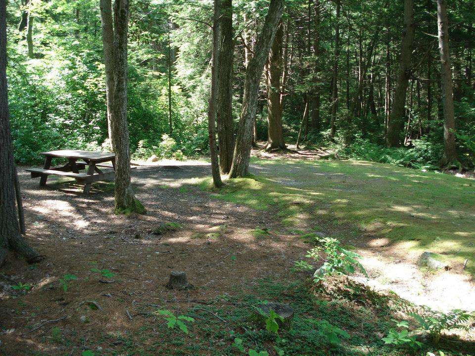 Rhode Island State Parks Campgrounds â Pet Friendly Travel