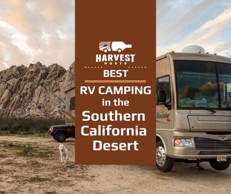 RV Camping in California Desert