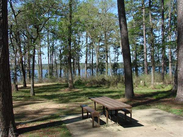 Sam Houston National Forest Cagle Recreation Area, New Waverly, TX ...