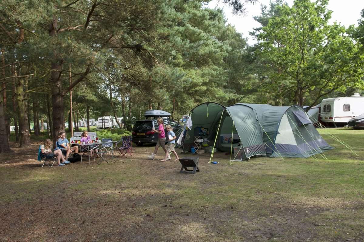 Sandringham Campsite