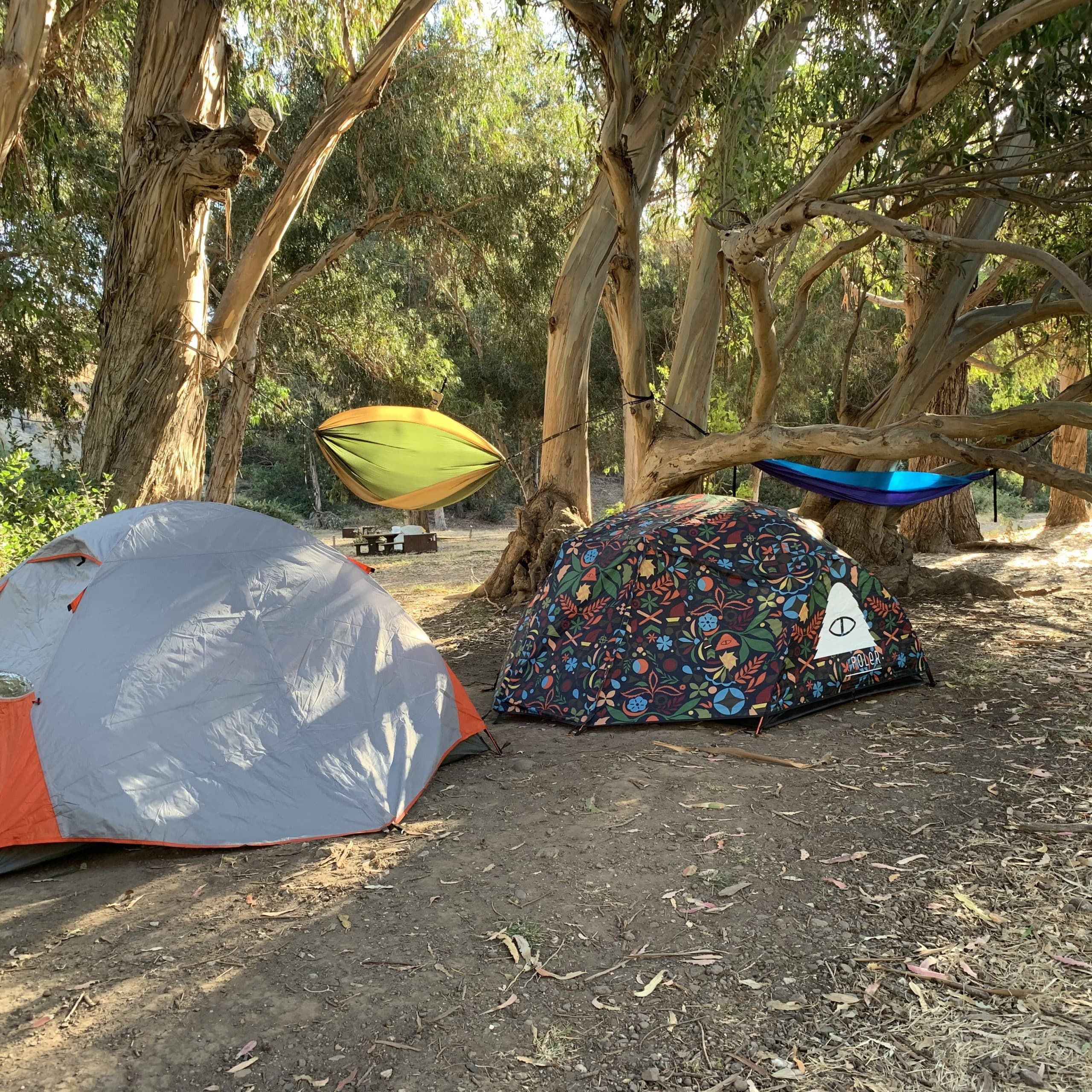 Santa Cruz Island Scorpion Canyon Campground, CA
