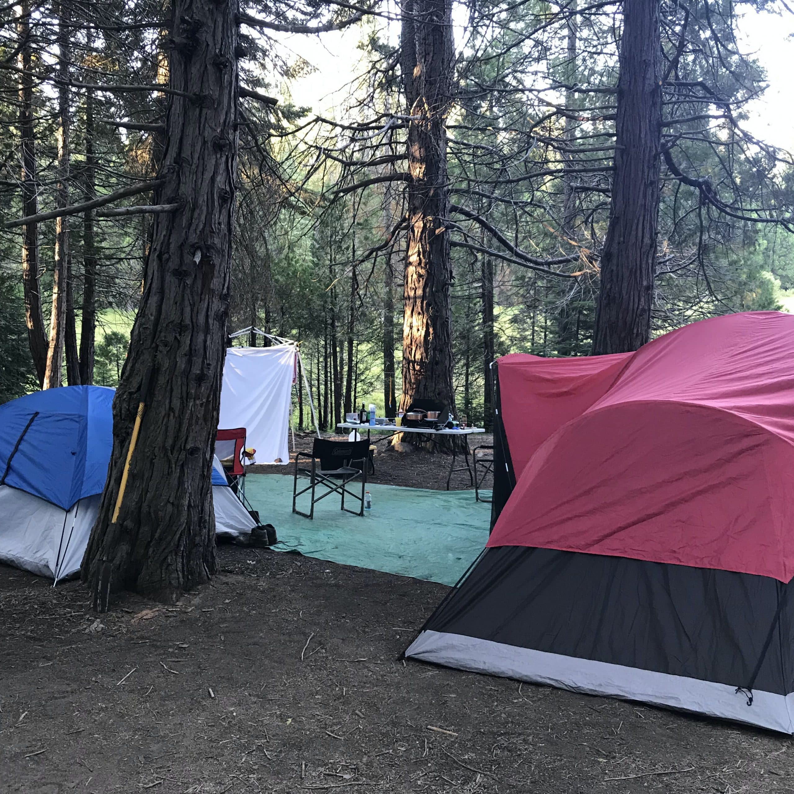 Sequoia National Park Dispersed campground , CA