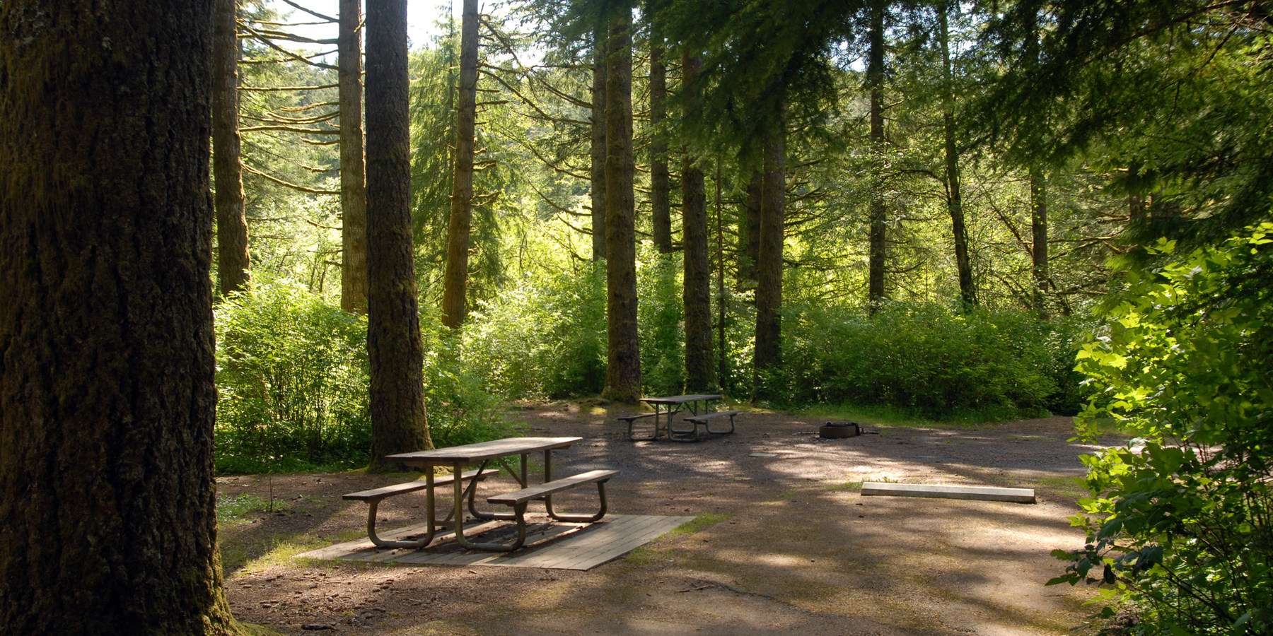 Silver Falls State Park Campground