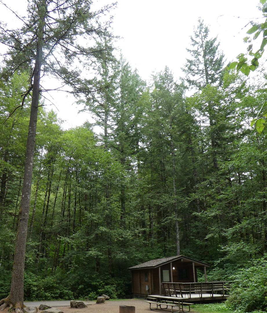 Silver Falls State Park: The campground (photo diary)