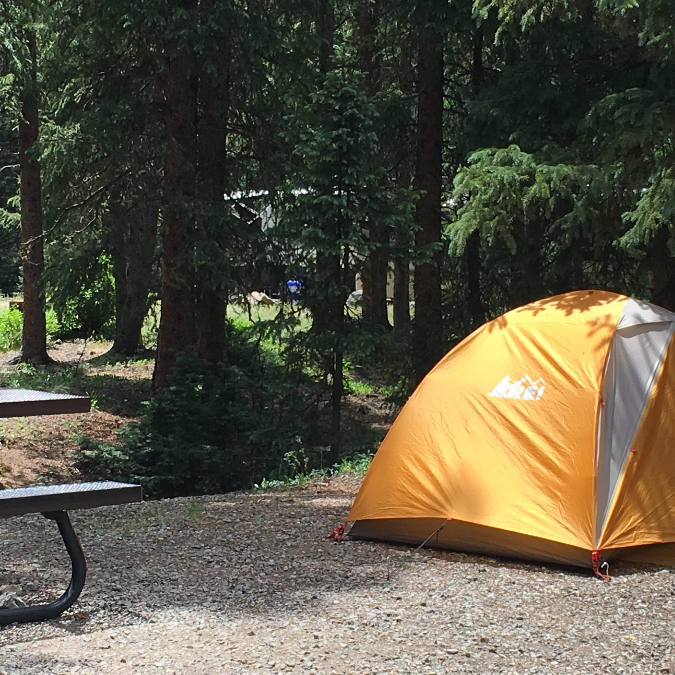 South Mineral Campground, CO