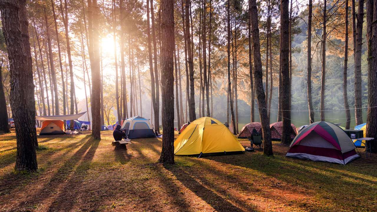 The 4 Best East Bay Campsites For Year