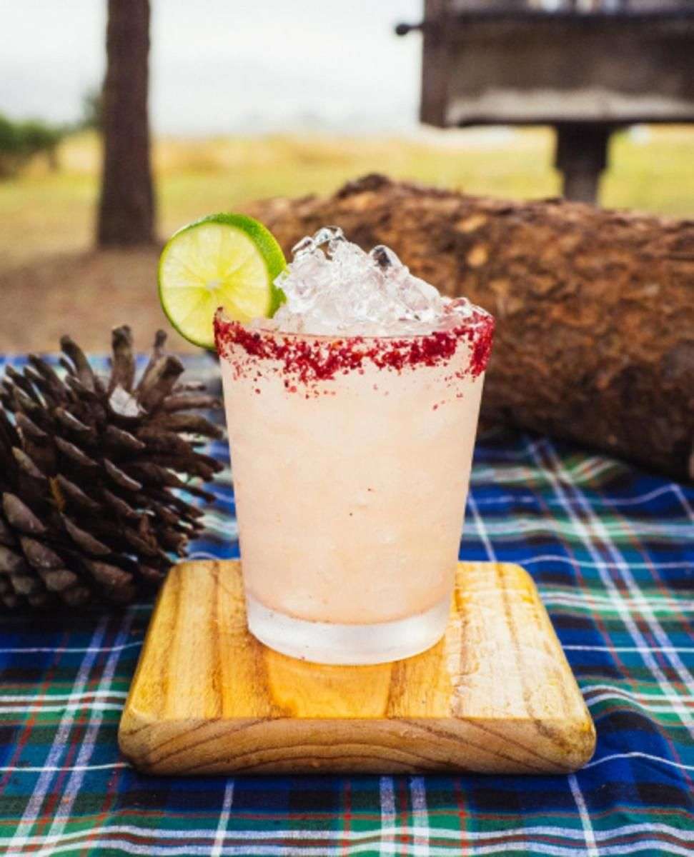 The Best Camping Cocktails