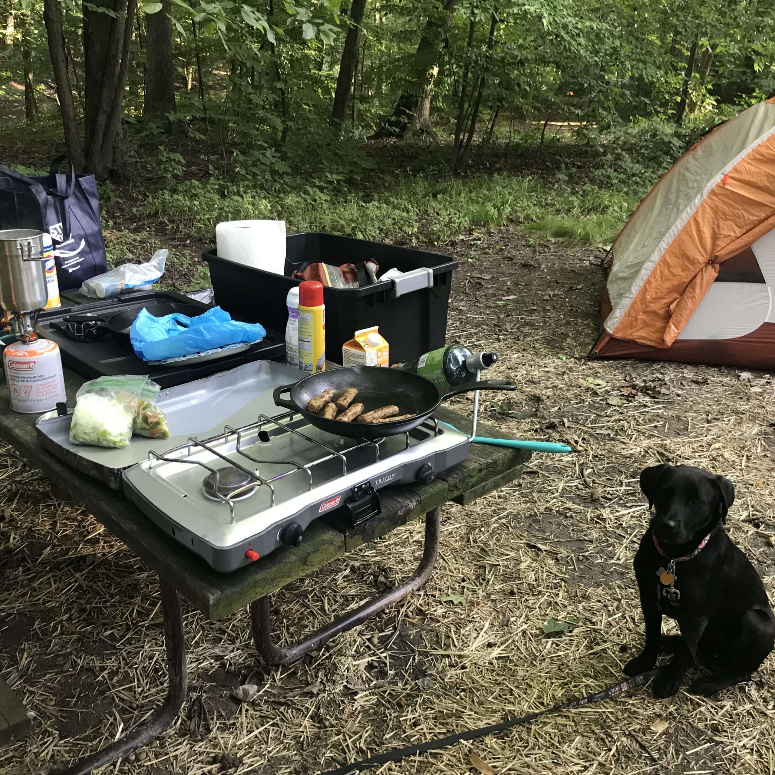 The Best Camping Near Cuyahoga Valley National Park
