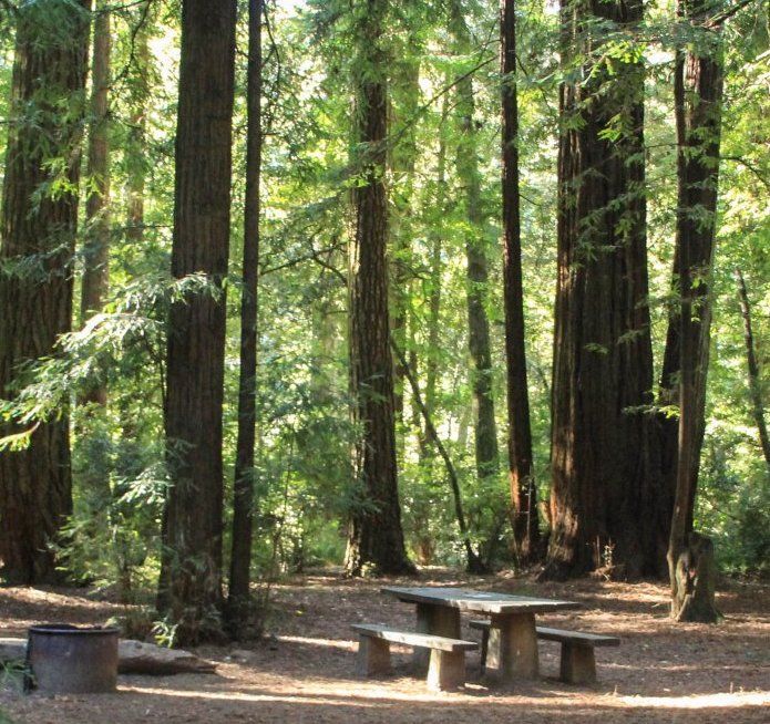 The Best Camping Spots on the Northern California Coast
