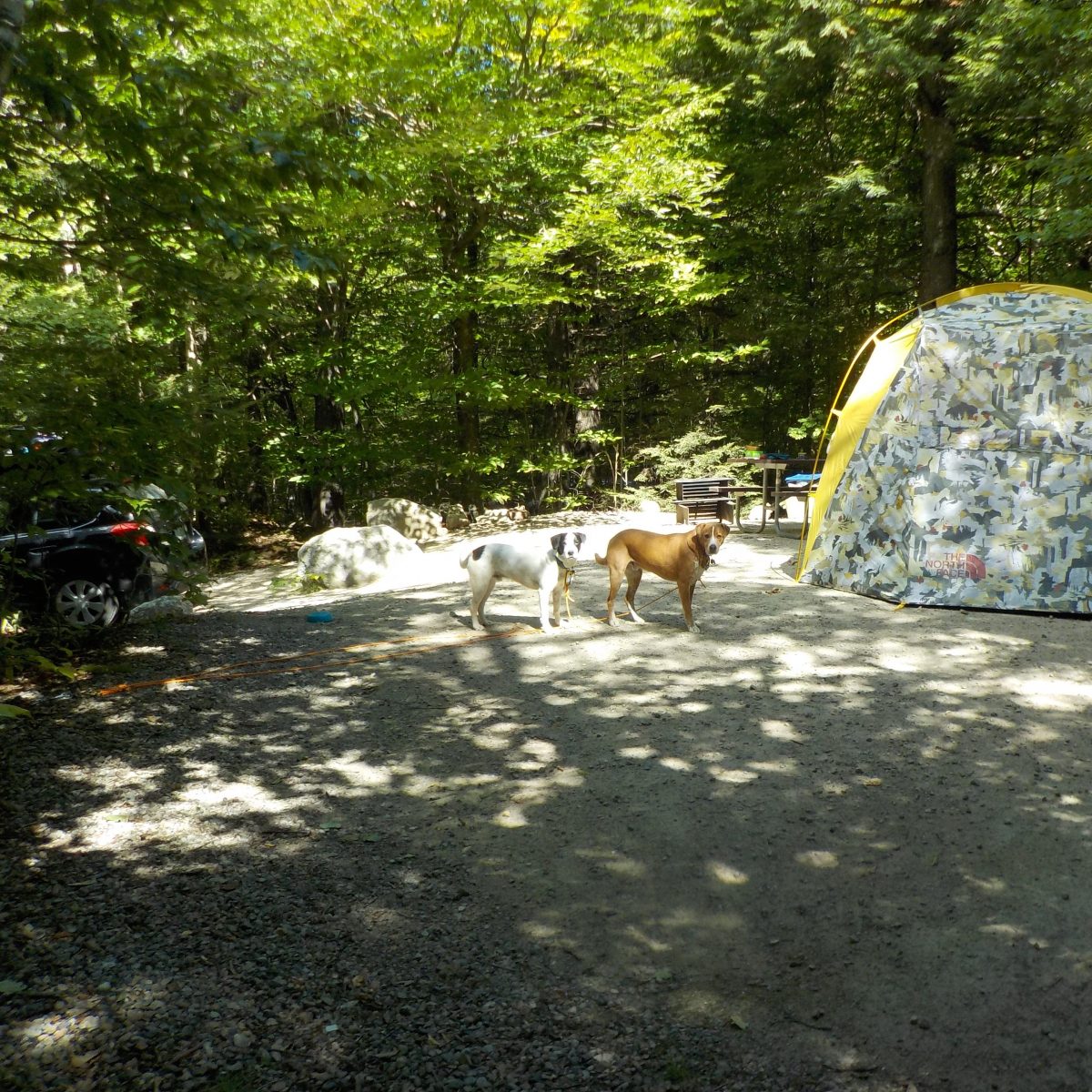 White Mountain National Forest Basin Campground