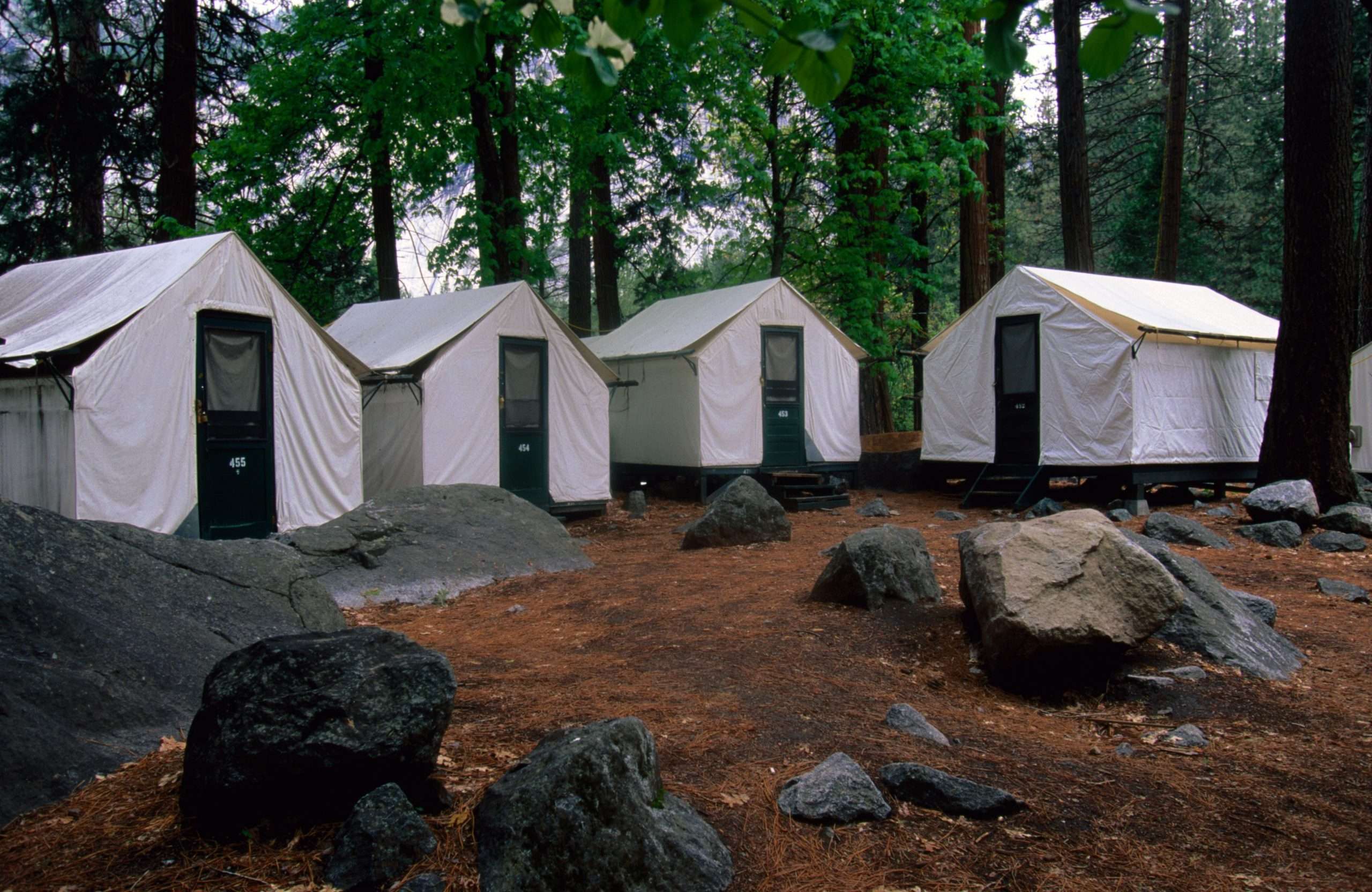 Yosemite Campgrounds: What You Need to Know